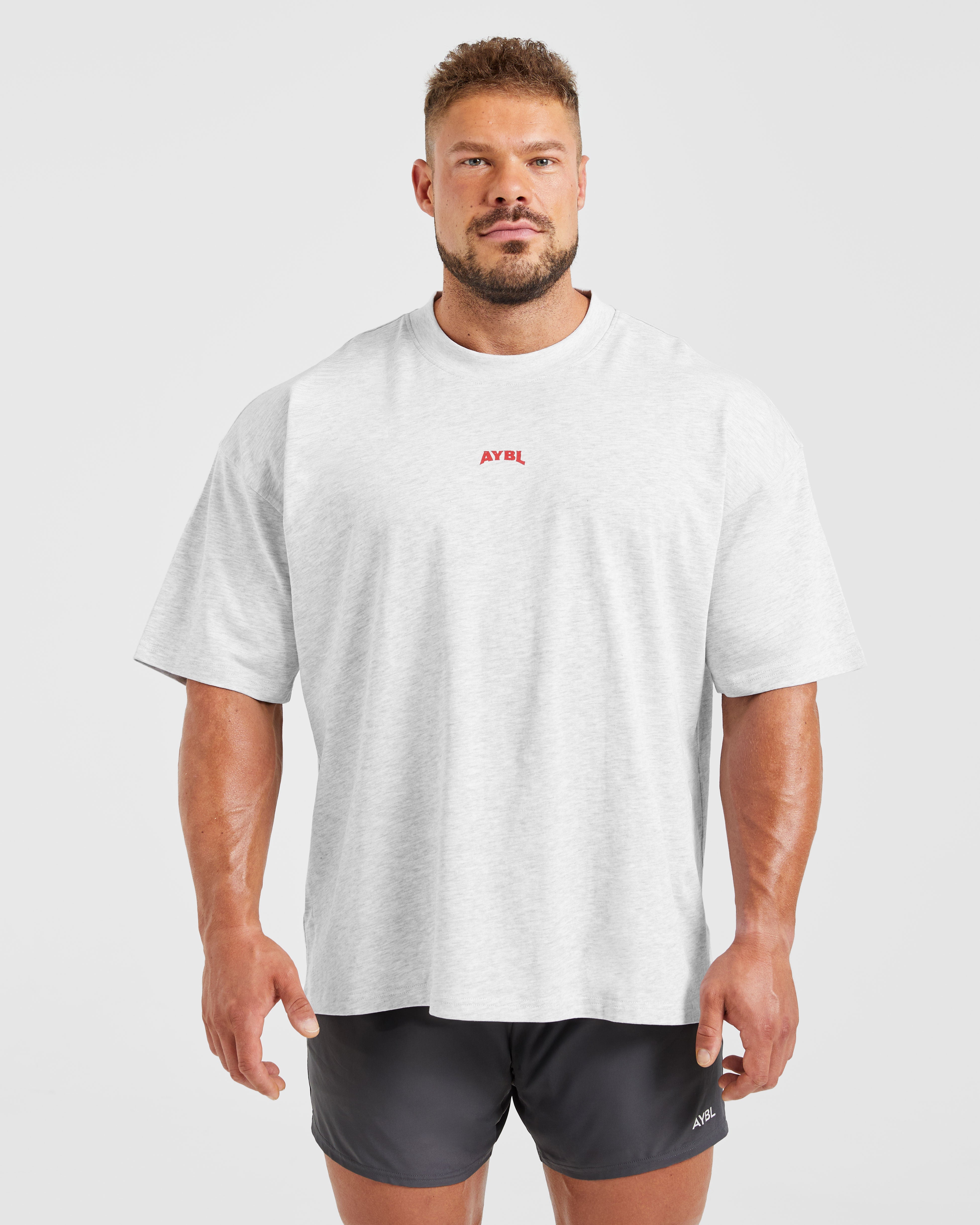 Wesley Vissers X Beyond Limits Oversized T Shirt - Grijs Marl