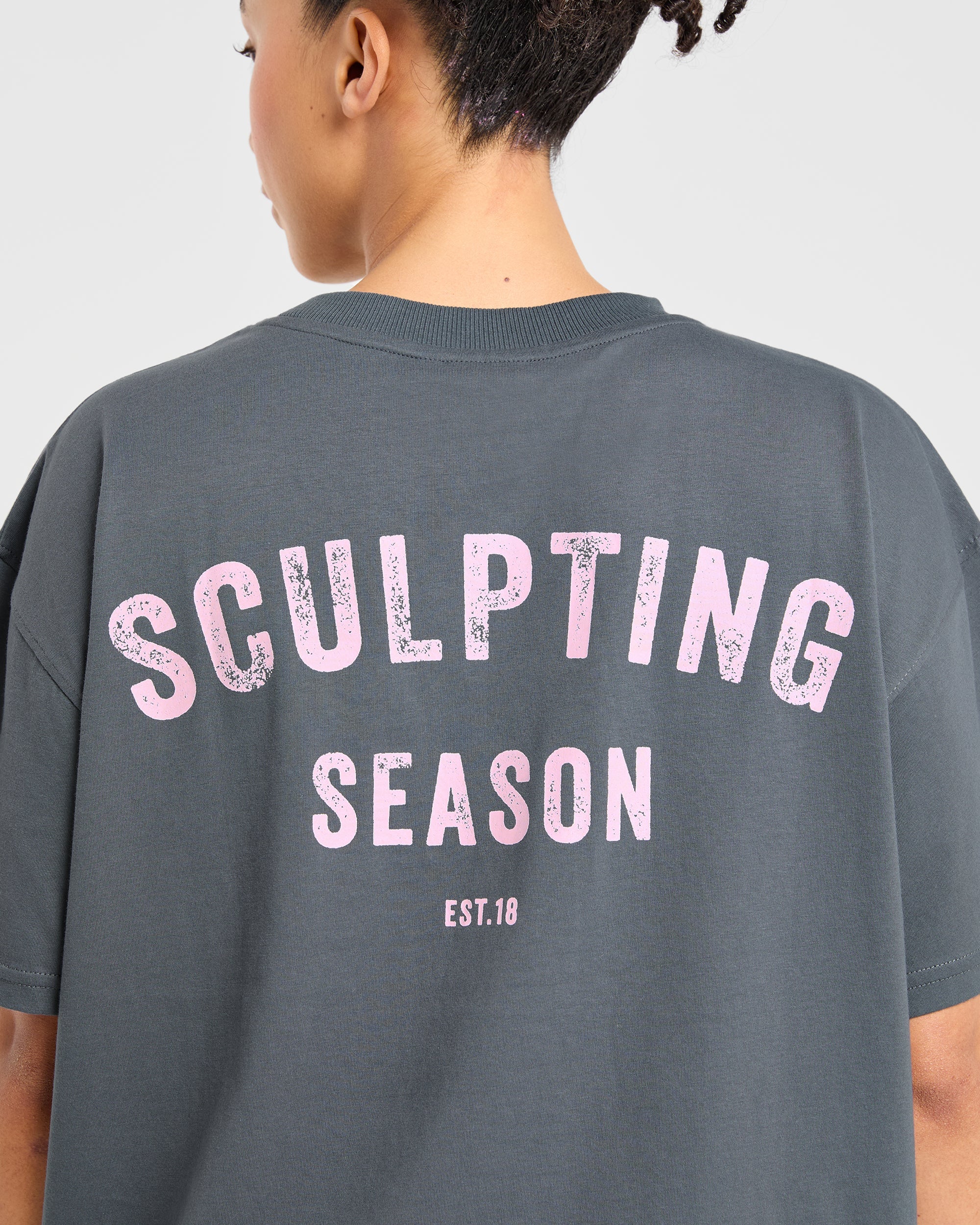 Sculpting Season Oversized T Shirt - Grijs/Roze