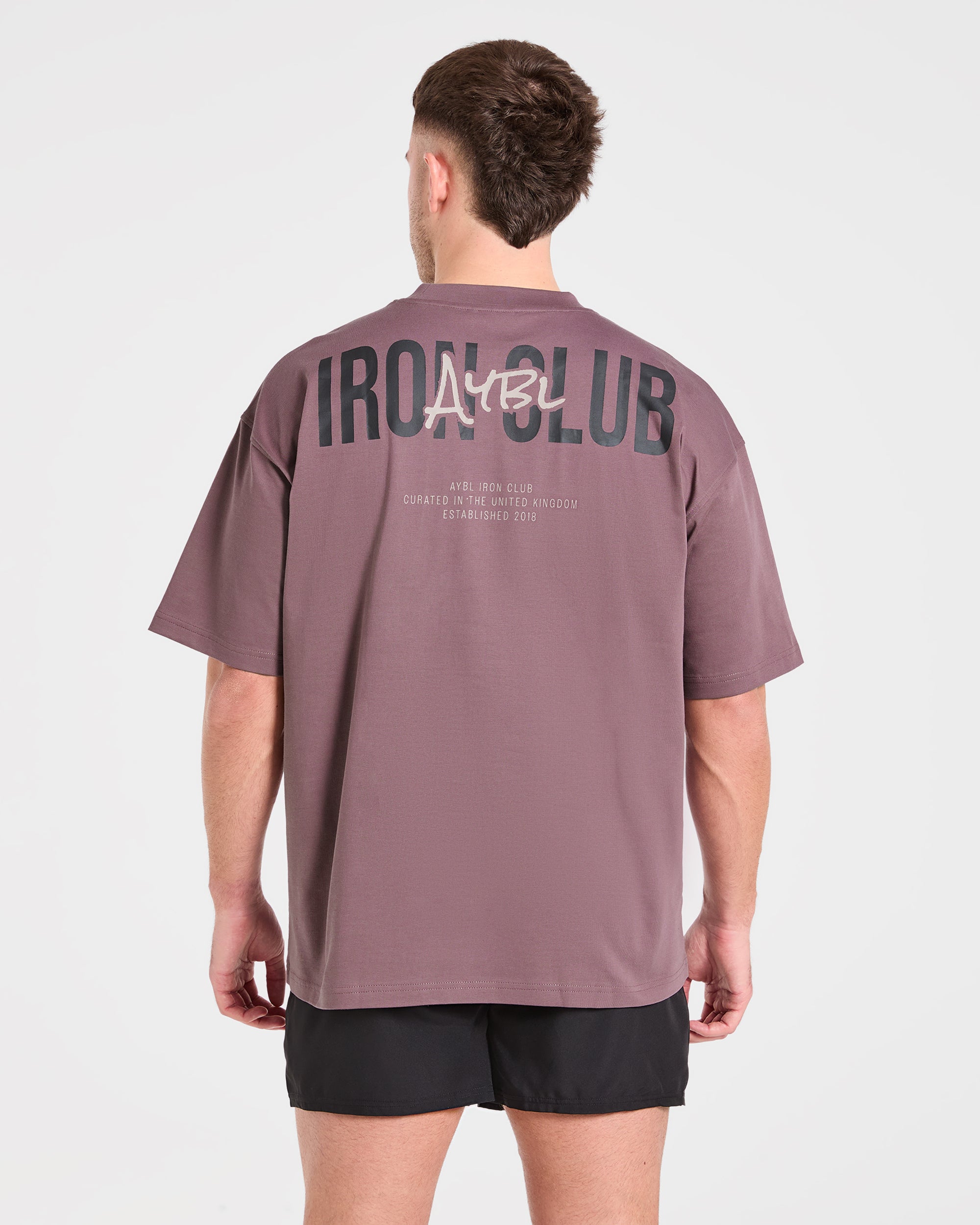 AYBL Iron Club Oversized T Shirt - Flint Paars